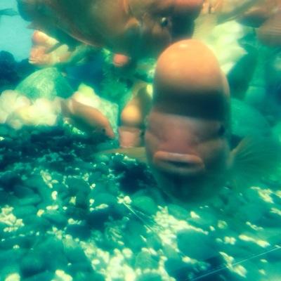 Sjxu7BRnOuL2Bg8's profile picture. ぎょぎょー