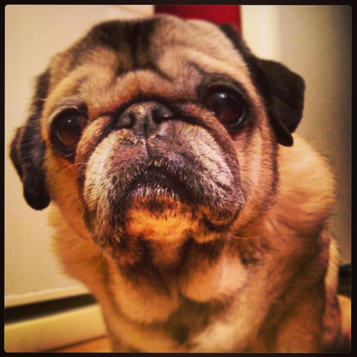 valeriebourdais's profile picture. 