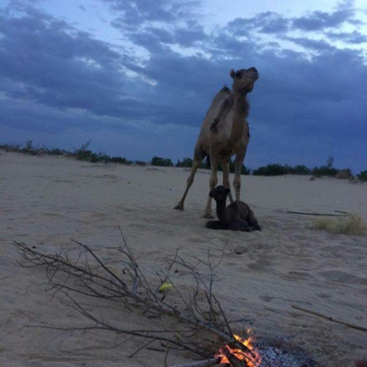 اللهم صل وسلم على نبينا محمد”