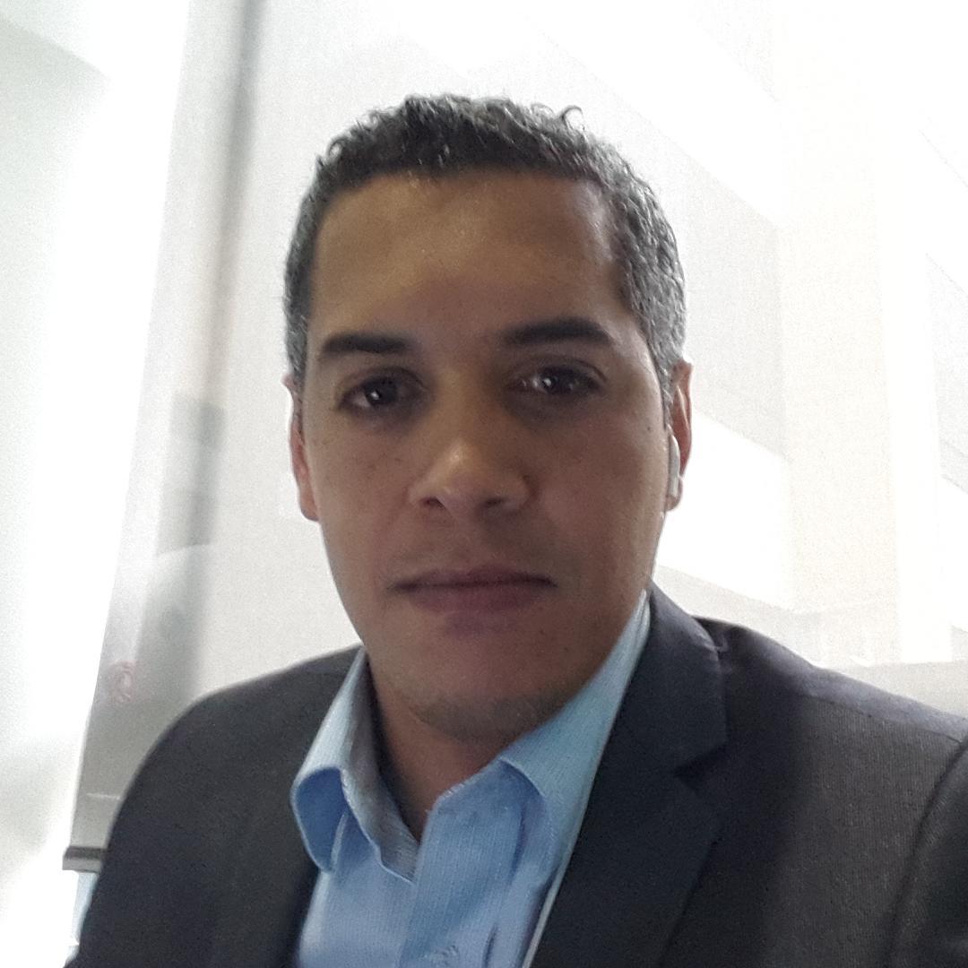 SAP MM-SD-WPB Consultant.