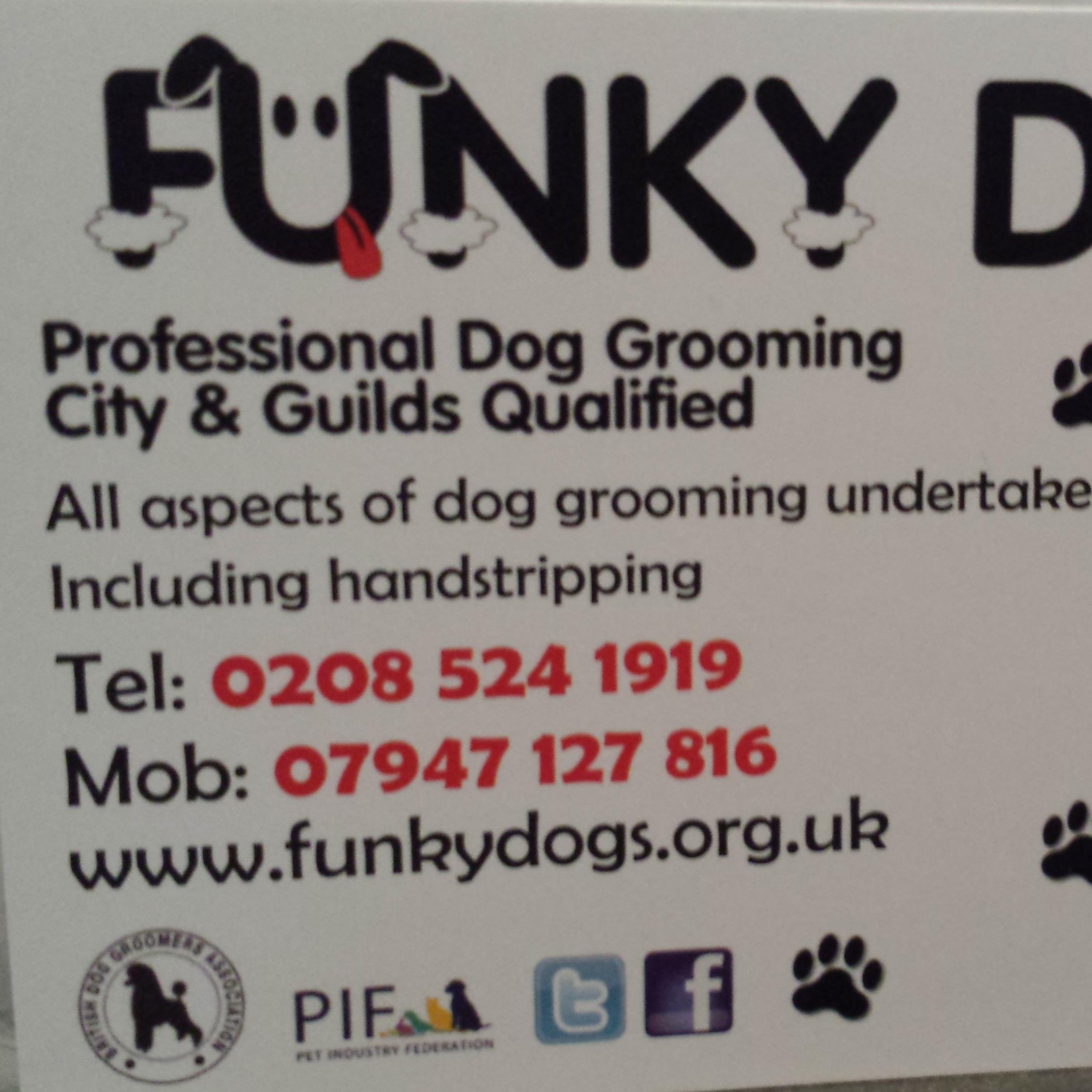 FunkyDogsE4's profile picture. 