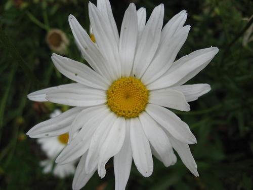 cardboardboxes's profile picture. 