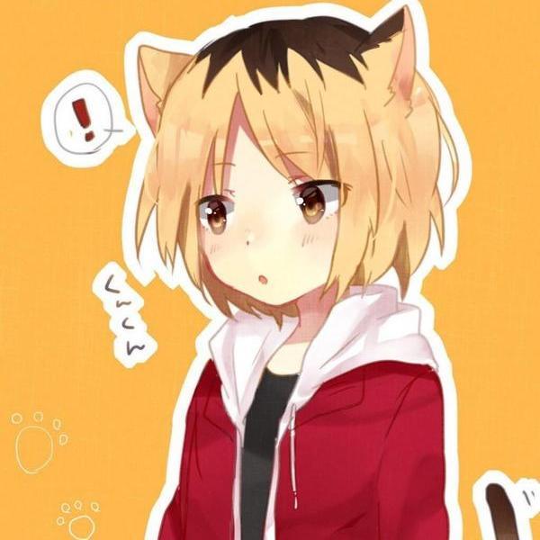 のん＠花粉症辛いさんのプロフィール画像