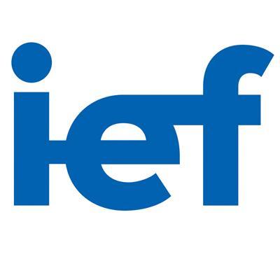 Fundación Ingeniería y Empresa (IEF)