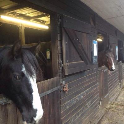 Smallholding, gardening, horses, nature, environment and the countryside.