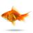 Pollock_Fish's profile image