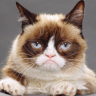 GRUMPY CAT @GrrumpyyCat  Twitter