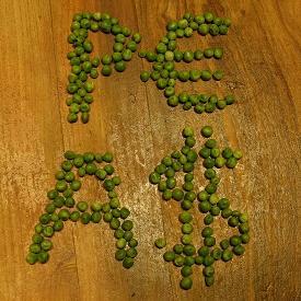 PEAS stands for Pluralist Economics at Sussex, part of @rethinkecon network. We're students & staff @SussexUni exploring alternative perspectives on economics.