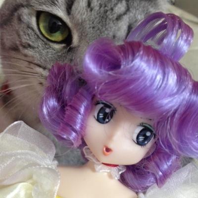 ミーさんのプロフィール画像