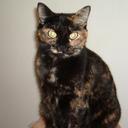 Helen Satterfield - @HelenSatter114 - Twitter