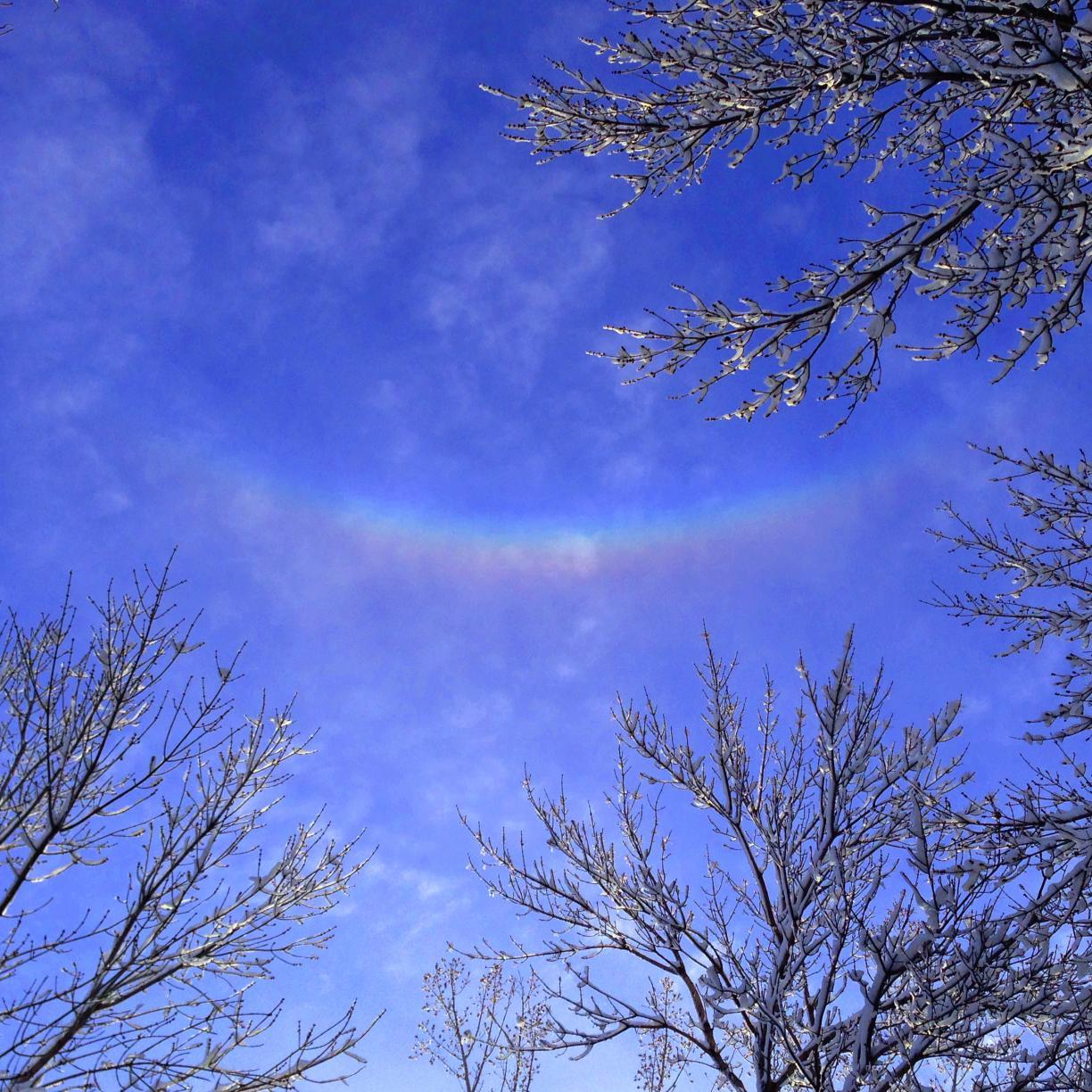 atoptics's profile picture. 