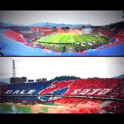 ricardolon90's profile picture. 