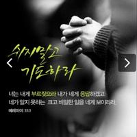 로뎀나무 (@ccn10004) 's Twitter Profile