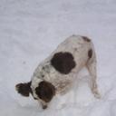 chantel paul - @Roxy12paul - Twitter