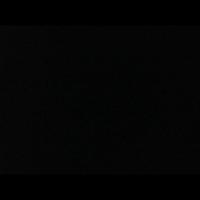 فصووولي (@faisal7772181) 's Twitter Profile