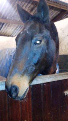 e73373aec9e8432's profile picture. 