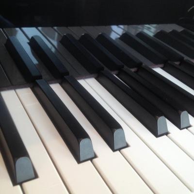 warm musical atmosphere. old fashioned service. lovers of the heart and soul of heritage instruments. rebuilders. restorers. player piano demonstrations.