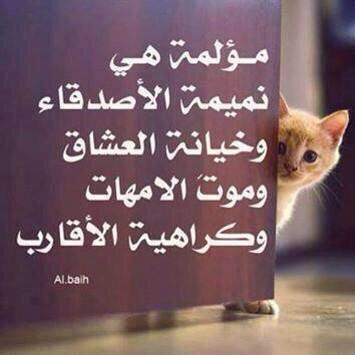 تم حذف الحساب لظروف خاصه،،اسال الله لكم التوفيق والزواج،،وارحوا منكم الاباحه والسماح وشكراً