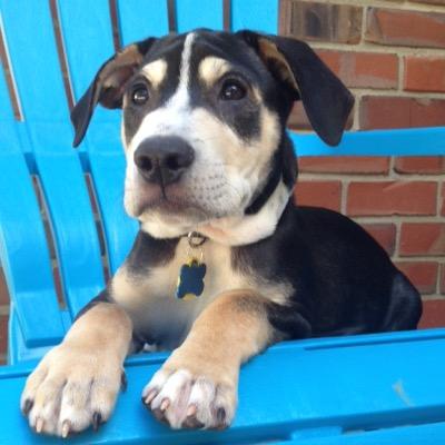 autumnforst's profile picture. 