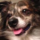 Dale Test - @DaleTestAccount - Twitter