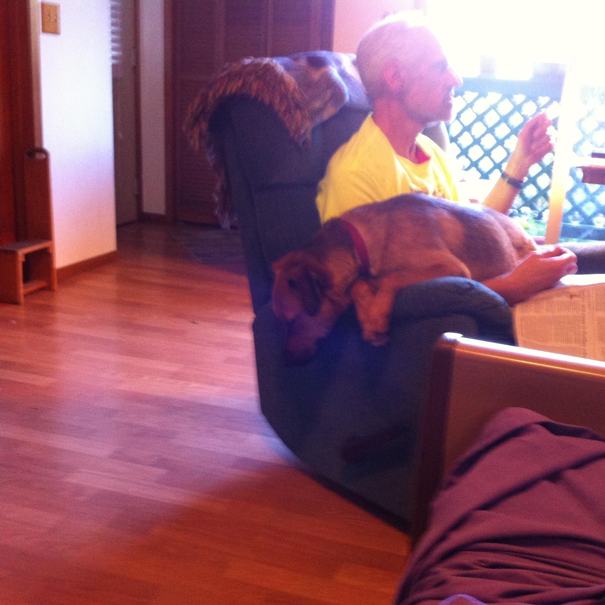 AllanClassen's profile picture. A graduate of the U of O School of Journalism. Owner and publisher of the NW Examiner Community Newspaper since 1986. Roots for the Dodgers Baseball team.