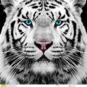 Darlene Greenleaf - @udare2dream - Twitter