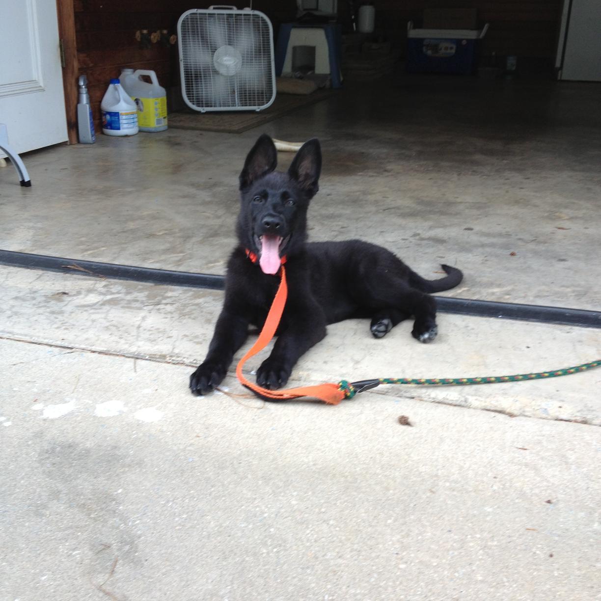 Peechamma's profile picture. 