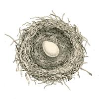 Black Swift Wine (@blackswiftwine) 's Twitter Profile