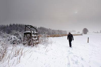 colomb1947d's profile picture. 