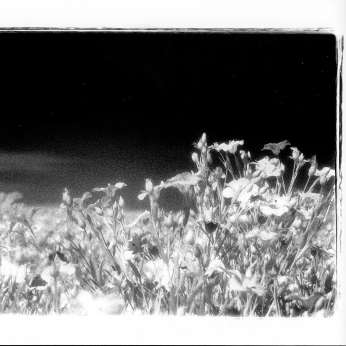 jd_prokop's profile picture. Freelance film and television editor.