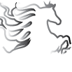 theconnectedrider (@theconnectedrid) 's Twitter Profile