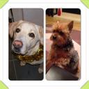 Aaron Gunning - @aaron9901 - Twitter