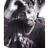 PharellVaz's profile image