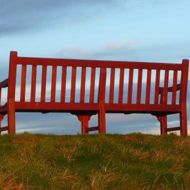 oneseniormoment's profile picture. 