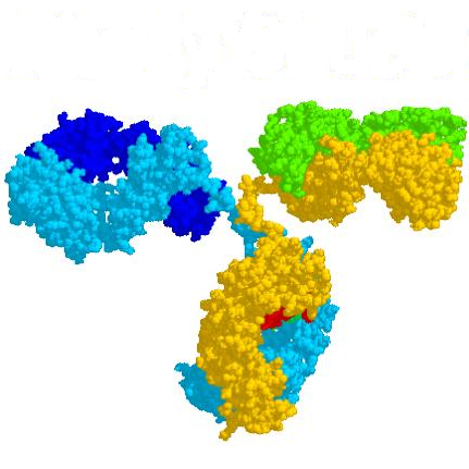 We provide easy-to-use kits that keep your proteins soluble, rescue aggregated samples, and assess thermal stability. Do more with Dilyx.