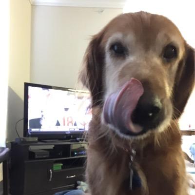 kdj1722's profile picture. 