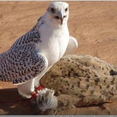 ‏‏‏هجرت البعض طوعاً لأنني رأيت قلوبهم تهوى فراقي نعم اشتاق ولكن وضعت كرامتي فوق اشتياقي وارغب وصلهم دوماً ولكن طريق الذل لا تهواه ساقي .