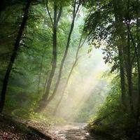 Ted Baker (@icetedtea) 's Twitter Profile