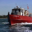 falmouthfishing's profile picture. 