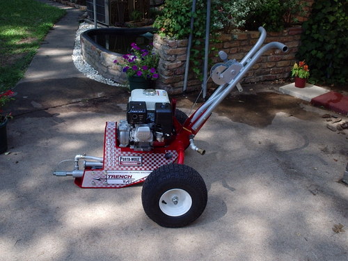 TrenchMoles's profile picture. 