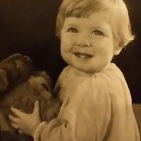 Dr Sian Roberts (@sianllroberts) 's Twitter Profile
