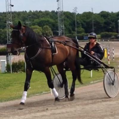 Stf Granngården, Borås. Travsport & Hästar förgyller min tillvaro 💕