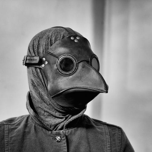 RandomCrow's profile picture. 