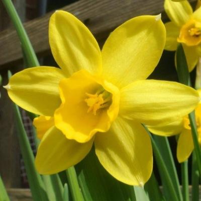 chellemc9791's profile picture. 