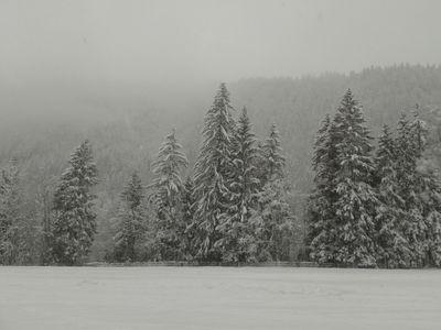 manon7_4's profile picture. 