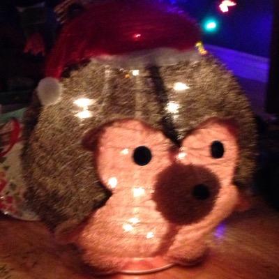 easternlight368's profile picture. 