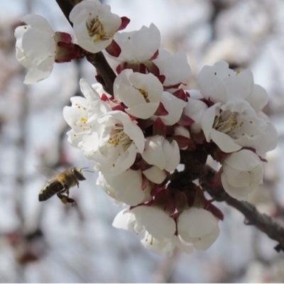 realrawfood's profile picture. 