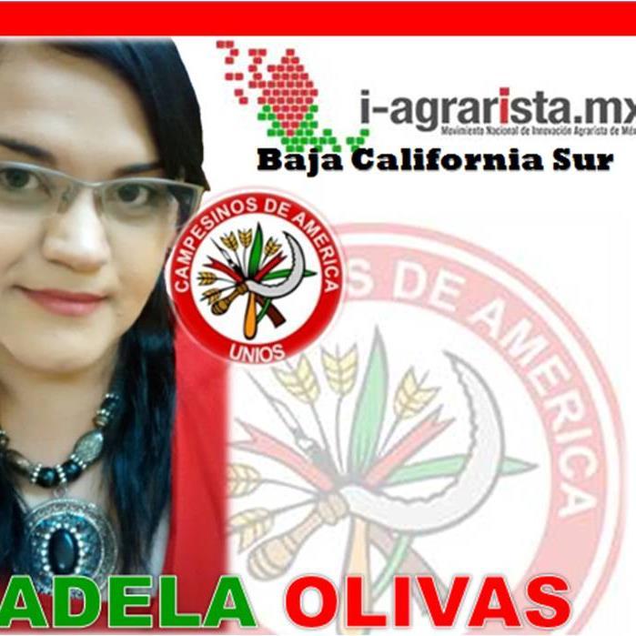 Estado de Baja California Sur
Movimiento Nacional de Innovación Agrarista Mx @CNC_CEN