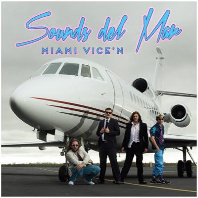 Pizza Rock Garage Boys  making waves in Austin, TX. Debut album Miami Vice'n is out on Nine Mile Records and is available on iTunes and Spotify.