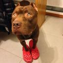 Benjamín Santamaria - @benjasan2 - Twitter